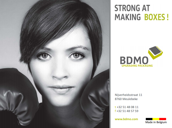 BDMO Presentation